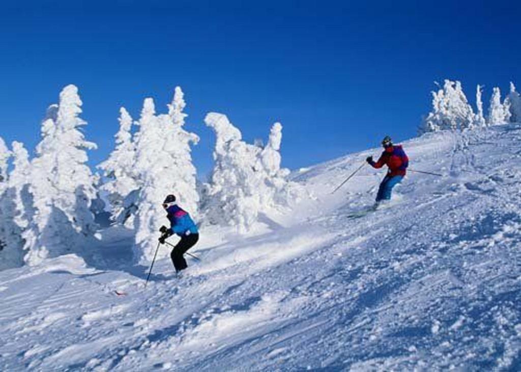 Chateau Resort & Conference Center Tannersville Kemudahan gambar